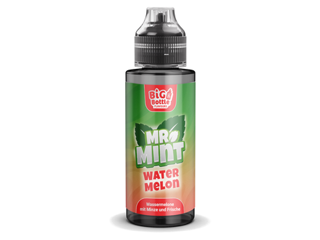 Mr. Mint by Big Bottle - Longfills 10 ml - Watermelon